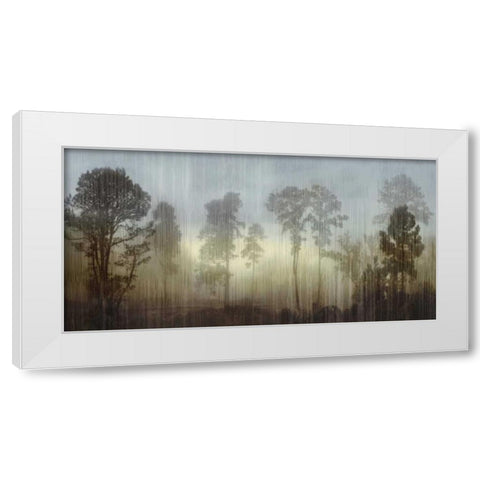 Break Of Day White Modern Wood Framed Art Print by Clark, Madeline