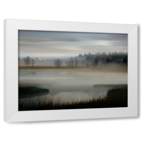 Early Morning White Modern Wood Framed Art Print by Clark, Madeline
