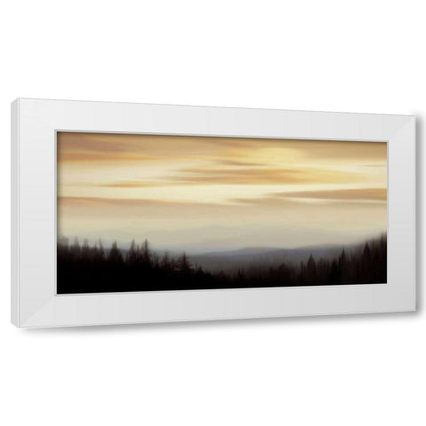 Panorama II White Modern Wood Framed Art Print by Clark, Madeline