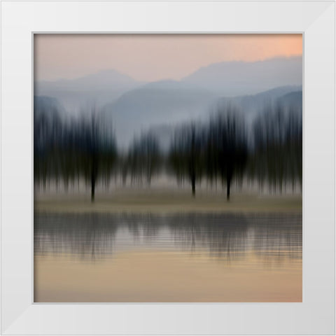 Early Morning IV White Modern Wood Framed Art Print by Clark, Madeline