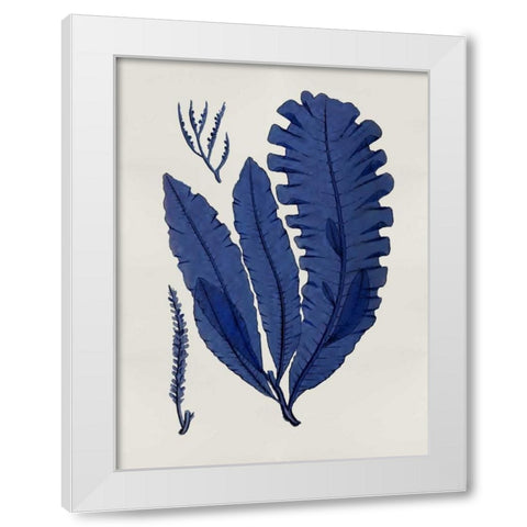 Sea Life - Indigo IV White Modern Wood Framed Art Print by Miller, Melonie