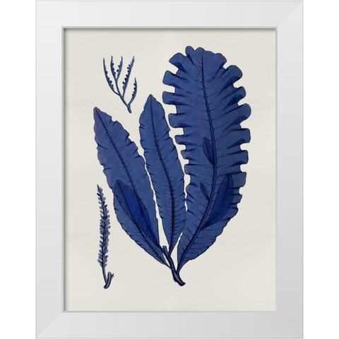 Sea Life - Indigo IV White Modern Wood Framed Art Print by Miller, Melonie