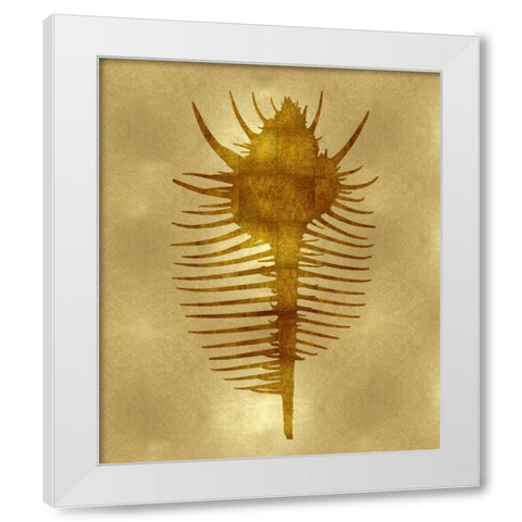 Sea Life - Gold VI White Modern Wood Framed Art Print by Miller, Melonie