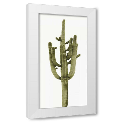 Saguaro II White Modern Wood Framed Art Print by Jensen, Mia