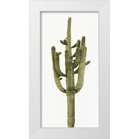 Saguaro II White Modern Wood Framed Art Print by Jensen, Mia