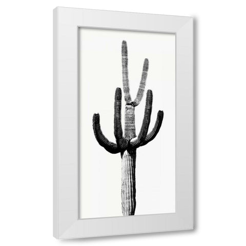 Saguaro Black and White III White Modern Wood Framed Art Print by Jensen, Mia