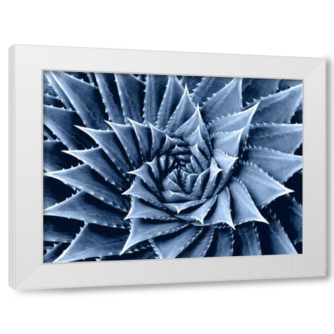 Succulent Indigo I White Modern Wood Framed Art Print by Jensen, Mia