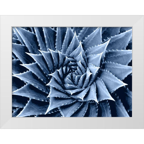 Succulent Indigo I White Modern Wood Framed Art Print by Jensen, Mia