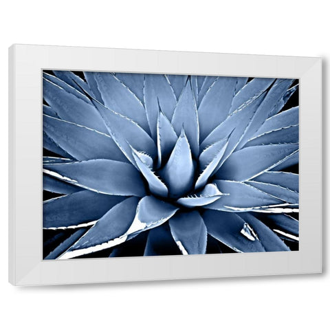Succulent Indigo III White Modern Wood Framed Art Print by Jensen, Mia
