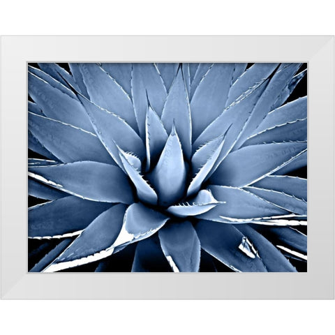 Succulent Indigo III White Modern Wood Framed Art Print by Jensen, Mia
