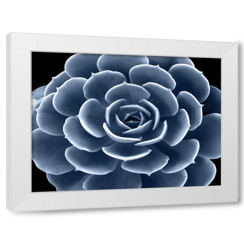 Succulent Indigo IV White Modern Wood Framed Art Print by Jensen, Mia