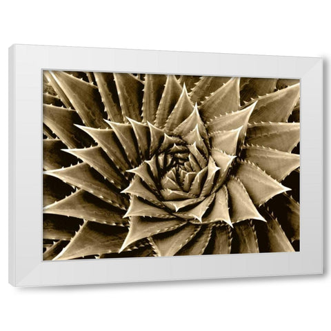Succulent Taupe I White Modern Wood Framed Art Print by Jensen, Mia