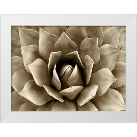 Succulent Taupe II White Modern Wood Framed Art Print by Jensen, Mia