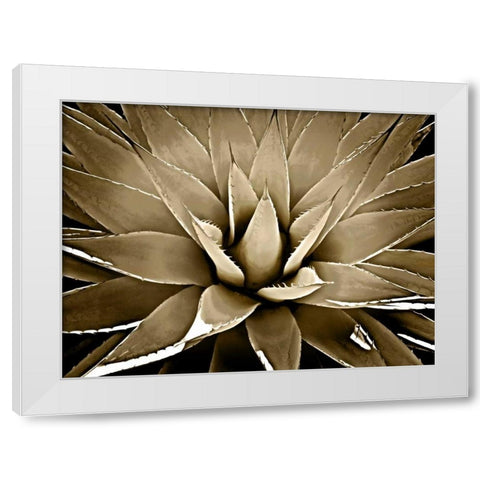 Succulent Taupe III White Modern Wood Framed Art Print by Jensen, Mia