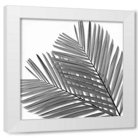 Palm Black and White I White Modern Wood Framed Art Print by Jensen, Mia