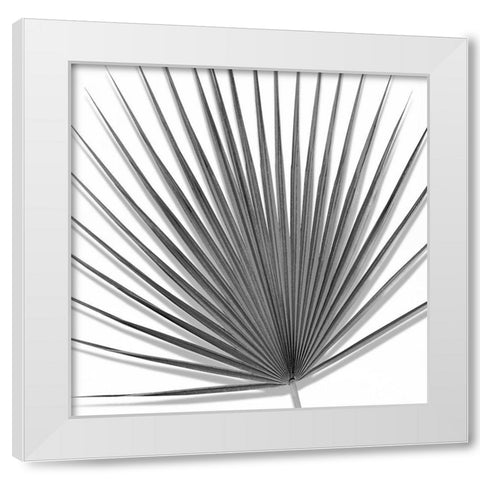 Palm Black and White III White Modern Wood Framed Art Print by Jensen, Mia