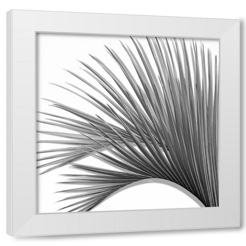 Palm Black and White IV White Modern Wood Framed Art Print by Jensen, Mia