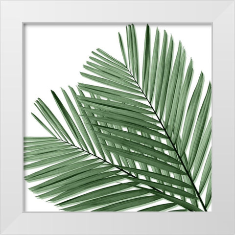 Palm Green I White Modern Wood Framed Art Print by Jensen, Mia