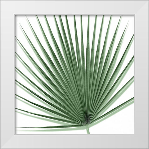 Palm Green III White Modern Wood Framed Art Print by Jensen, Mia