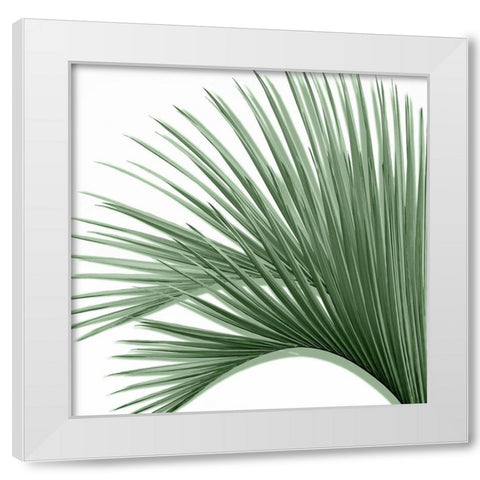 Palm Green IV White Modern Wood Framed Art Print by Jensen, Mia