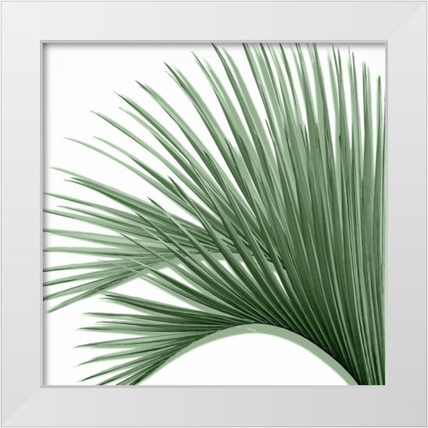 Palm Green IV White Modern Wood Framed Art Print by Jensen, Mia