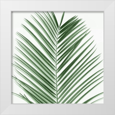 Palm Green V White Modern Wood Framed Art Print by Jensen, Mia