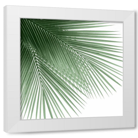 Palm Green VI White Modern Wood Framed Art Print by Jensen, Mia