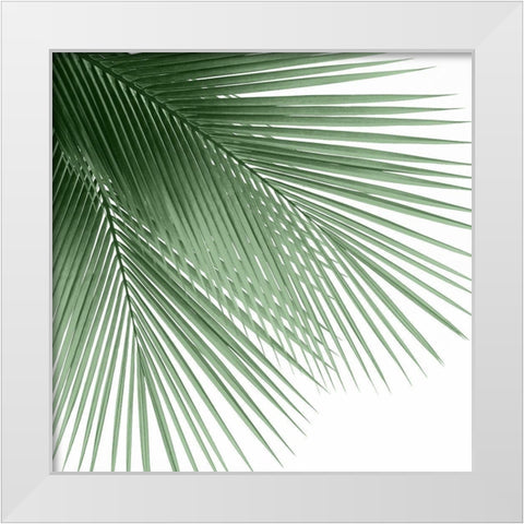 Palm Green VI White Modern Wood Framed Art Print by Jensen, Mia