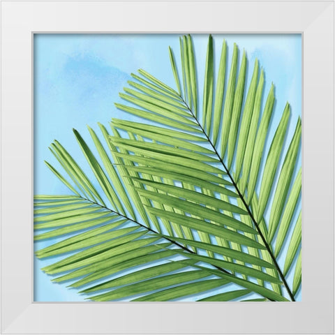 Palm on Blue I White Modern Wood Framed Art Print by Jensen, Mia