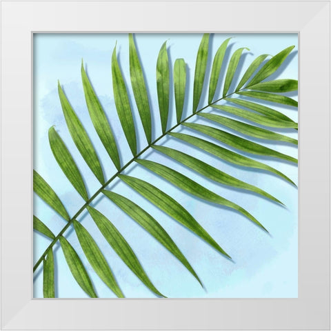 Palm on Blue II White Modern Wood Framed Art Print by Jensen, Mia
