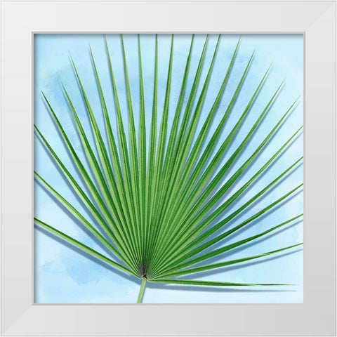 Palm on Blue III White Modern Wood Framed Art Print by Jensen, Mia