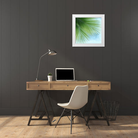 Palm on Blue VI White Modern Wood Framed Art Print by Jensen, Mia