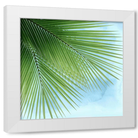 Palm on Blue VI White Modern Wood Framed Art Print by Jensen, Mia