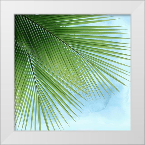 Palm on Blue VI White Modern Wood Framed Art Print by Jensen, Mia