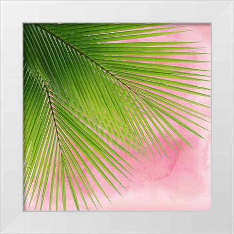 Palm on Pink VI White Modern Wood Framed Art Print by Jensen, Mia