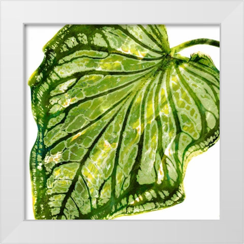 Tropical Palm III White Modern Wood Framed Art Print by Miller, Melonie