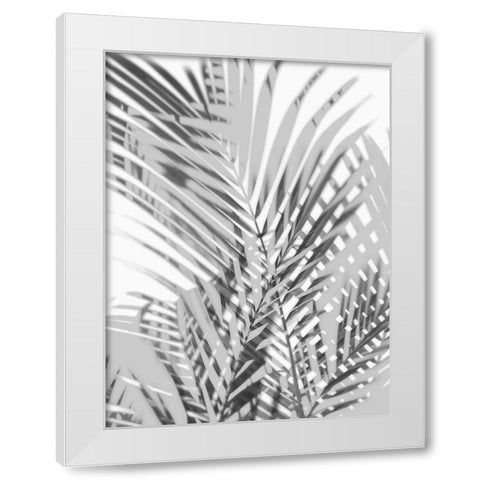 Palm Shadows III White Modern Wood Framed Art Print by Miller, Melonie