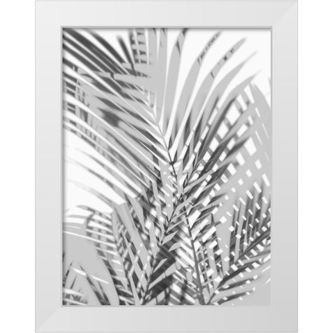 Palm Shadows III White Modern Wood Framed Art Print by Miller, Melonie