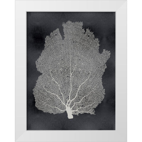 Sea Fan on Black I White Modern Wood Framed Art Print by Miller, Melonie