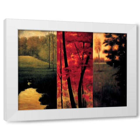 Point of View II White Modern Wood Framed Art Print by Thomas, Neil