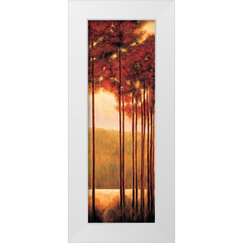 Through the Woods II White Modern Wood Framed Art Print by Thomas, Neil