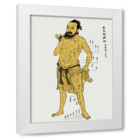 Vintage Acupunture White Modern Wood Framed Art Print by Jeffries, Oliver