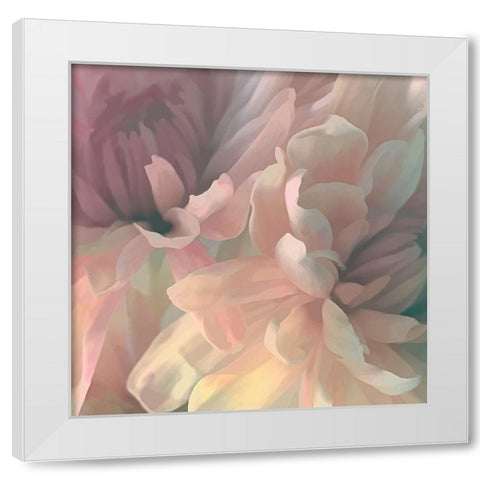 Chrysanthemum I White Modern Wood Framed Art Print by Pollard, David