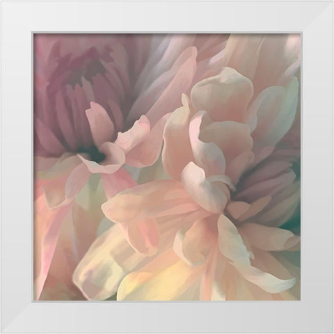 Chrysanthemum I White Modern Wood Framed Art Print by Pollard, David