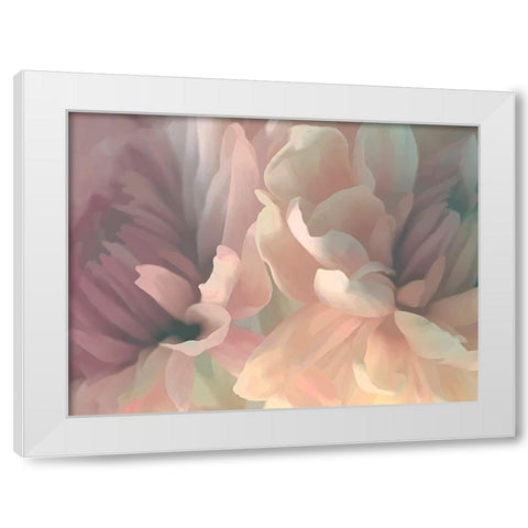 Chrysanthemum II White Modern Wood Framed Art Print by Pollard, David