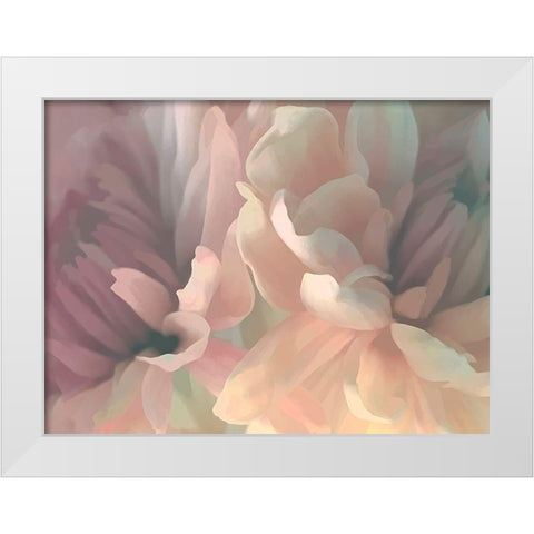 Chrysanthemum II White Modern Wood Framed Art Print by Pollard, David