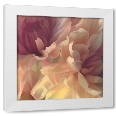 Chrysanthemum III White Modern Wood Framed Art Print by Pollard, David