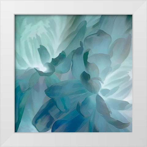 Chrysanthemum VII White Modern Wood Framed Art Print by Pollard, David