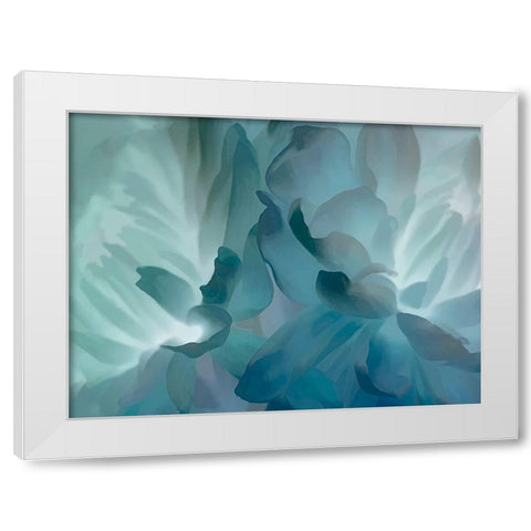 Chrysanthemum VIII White Modern Wood Framed Art Print by Pollard, David