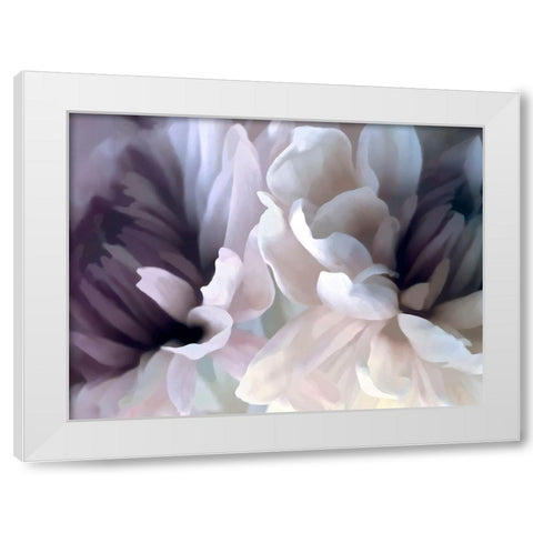 Chrysanthemum X White Modern Wood Framed Art Print by Pollard, David
